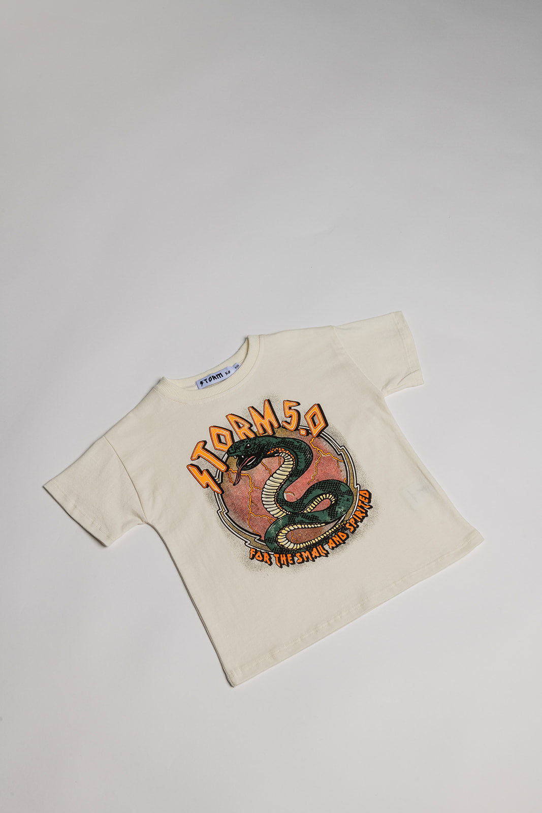 The Oversized Tee